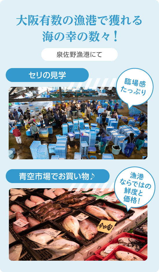 大阪有数の漁港で獲れる海の幸の数々！泉佐野漁港にて、臨場感たっぷり「セリの見学」と漁港ならではの鮮度と価格「青空市場でお買い物♪」